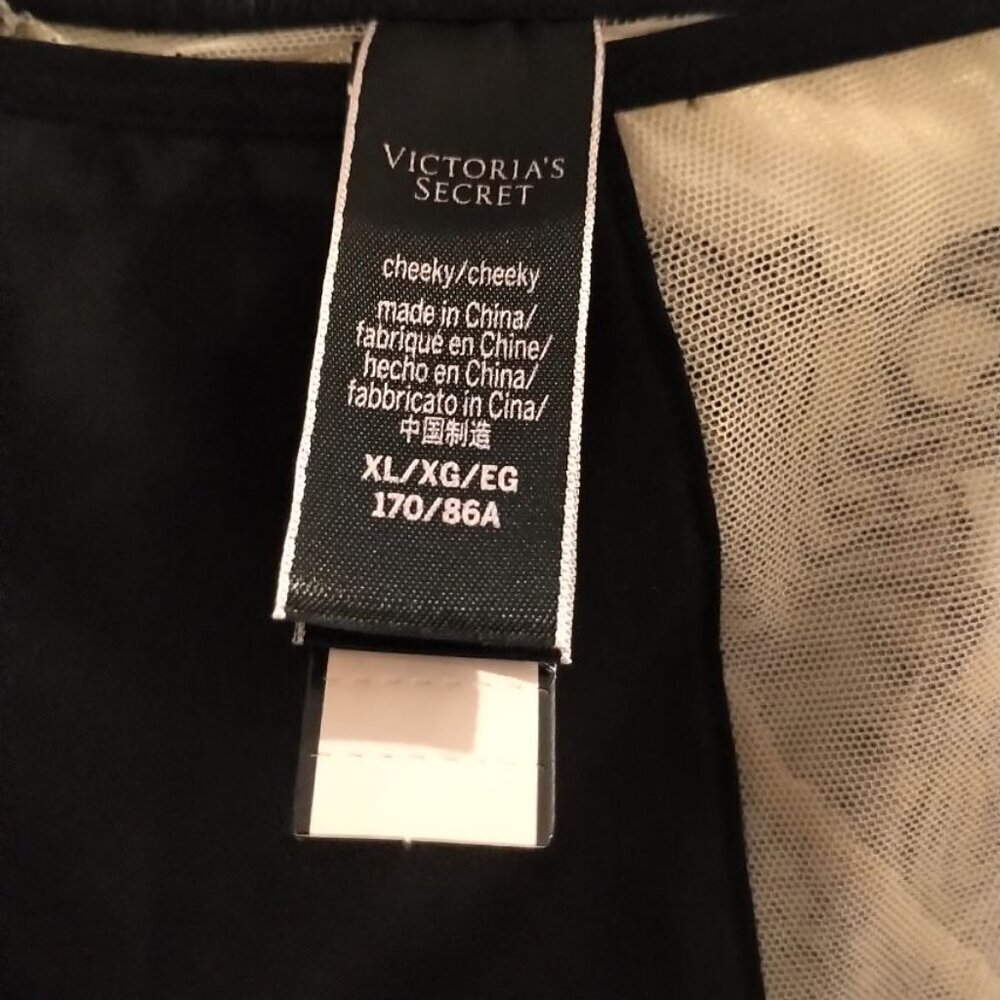 🐞NWT Victoria's Secret LUXE Dragon Applique Cheeky Mesh SEXY Lingerie Black Tan - Picture 10 of 16